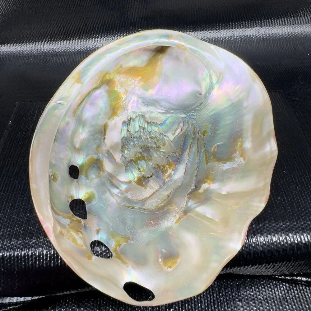 Natural Abalone Shell Large Dish Bowl Container Trinket Holder Iridescent Smooth